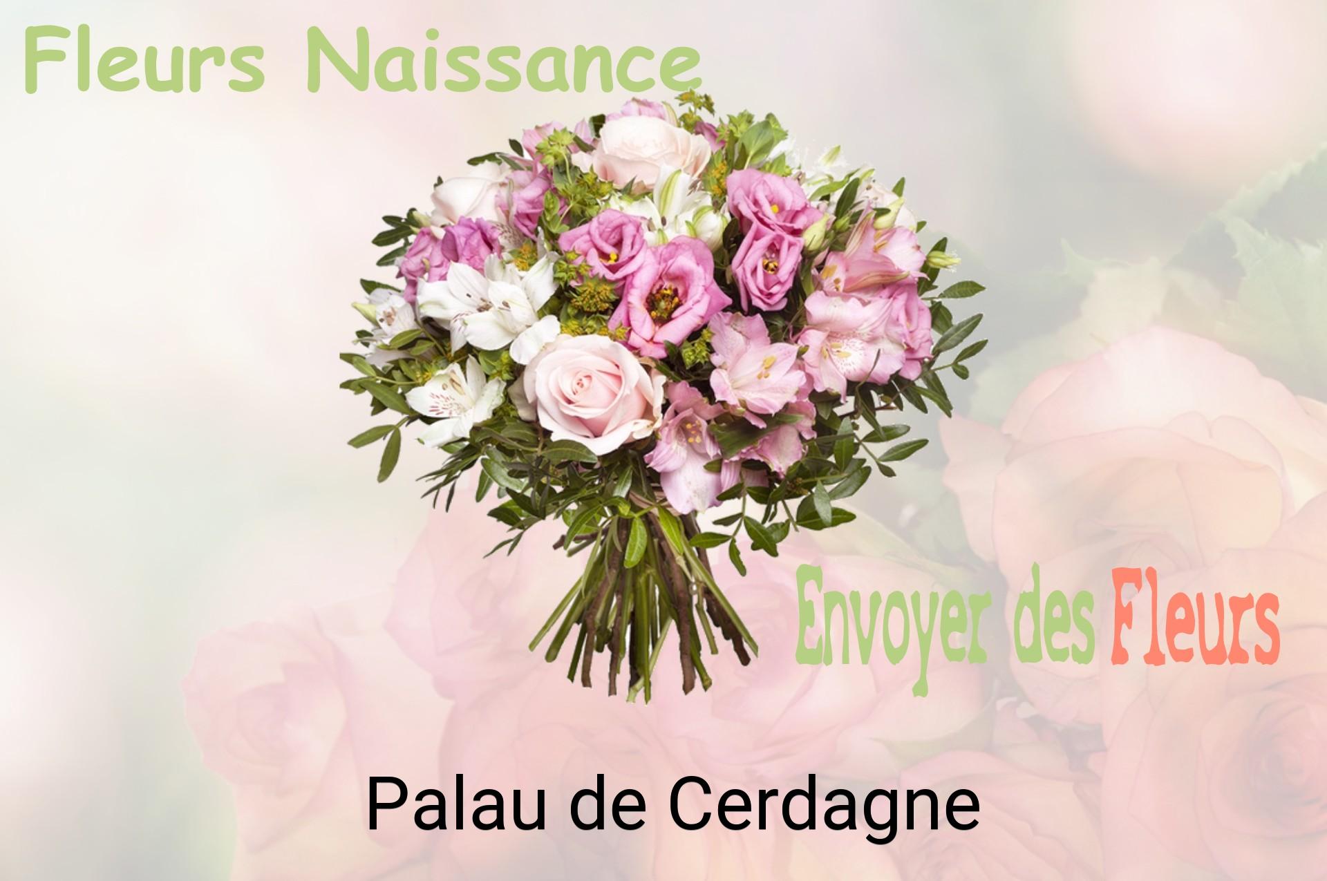 Bouquet de fleurs de naissance livré à Palau-de-Cerdagne